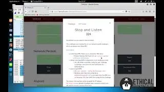 TAMUctf 2019 Network/Pentest 