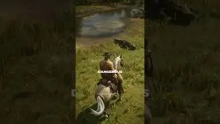 Some UNIQUE Things Only In RDR2 💫
