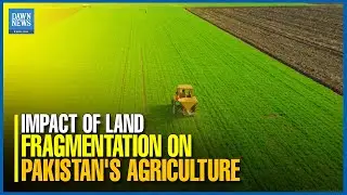 Impact of Land Fragmentation on Pakistan's Agriculture  | Dawn News English