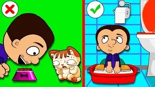 How to understand your cat better