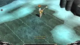 MuOnline New Character Skill Test