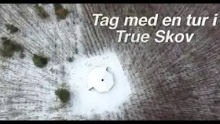 True Skov skal aflaste Riis Skov og Marselisborg skovene