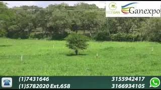 Promoci&oacute;n Aspersor D-Net NETAFIM