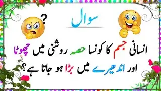 Brain Teaser Puzzles | in urdu Q&A | Paheliyan in urdu | MD Quiz General Knowledge