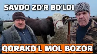 БУХОРО КОРАКУЛ МОЛ БОЗОР 18.01.2026 ЙЕМГА ТАЙЁР БУКА НАРХЛАР 