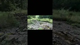 Following the forest path at Hinckley Reservation&hellip; until curiosity pulls me off the trail.