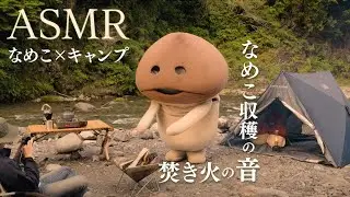 【公式】ASMR・焚き火の音-なめこ収穫の音〜なめこ in キャンプ場〜