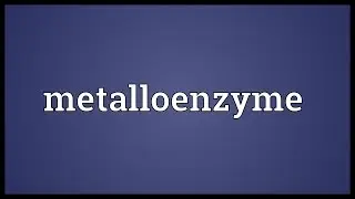 Metalloenzyme Meaning