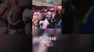 shimga reels