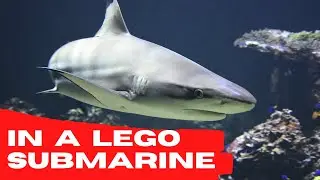 LEGOLAND Windsor Deep Sea Adventure - On Ride PoV