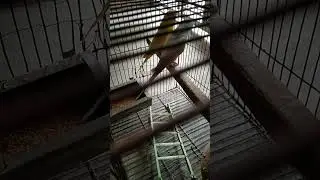 kirki Naam sitamati Janab ine
