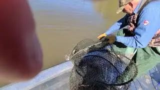 Catfish Hoop Net in Pierre Part, LA (GoDevilGod)