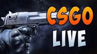 Counter-Strike: Global Offensive | stream | Prime | мм , напарники | Broken Fang |