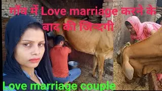 love marriage karke केसे  संभाल पाती है प्रिया #dailyblogs #cutecouple @Neeraj kumar family blog
