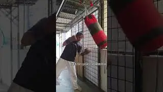 The Perfect Boxing Gloves? Here&rsquo;s Why You&rsquo;ll Love These!