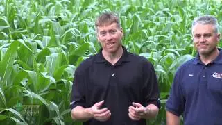 Farm Basics #850 - Bailing Wheat Straw (Air Date 7/20/14)