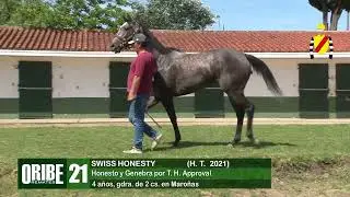 21 SWISS HONESTY