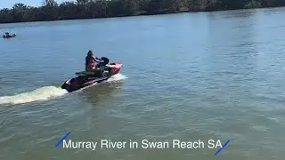 Murray River | Lizzy81 Dawkins