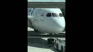 Westjet 787-9 at gate in Calgary