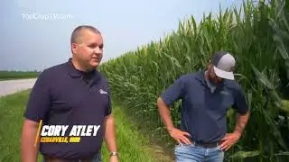 Top Crop TV, Episode 5 pt. 3 | Corey Atley on his biggest concerns for the upcoming harvest