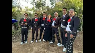 EL ÁNGEL QUE VI LLORAR VOL 2