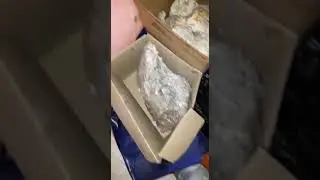 Ambergris