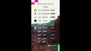 Crypto Spotlight: Notable Coins Today 🌟