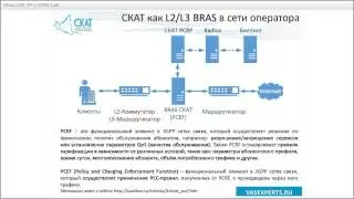СКАТ DPI и СОРМ-3