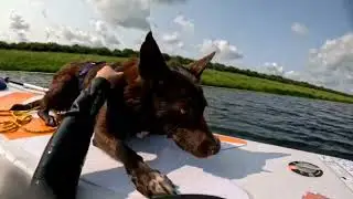 River Swim 4th June 2025