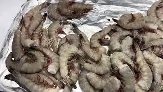 Best ways to freeze shrimp ￼