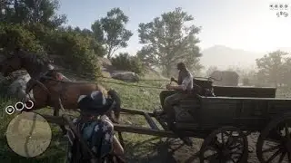 Red Dead Redemption 2: What?