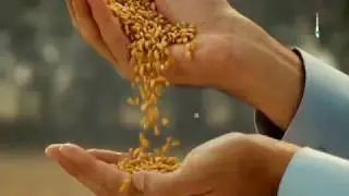 Fatima Fertilizers Rabi Ad 2016