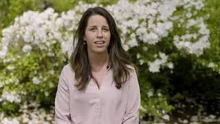 Local Government Action Plan Trailer - DET
