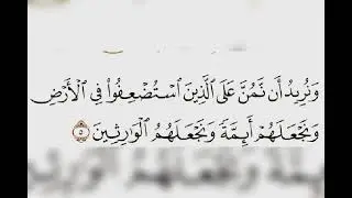 ونريد أن نمن على الذين استضعفوا في الأرض ونجعلهم أئمة ونجعلهم الوارثين
