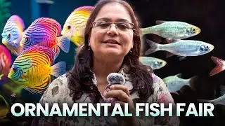 Must Visit Ornamental Fish Fair & Aquarium Science Workshop
