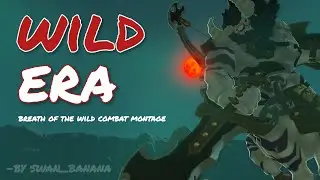 Wild Era - A Cinematic BotW Combat Montage