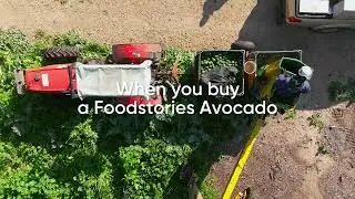 Foodstories | Avocados Flown Direct from Australia to You