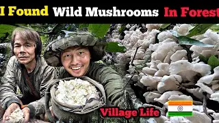 I Found Wild Mushrooms In the Forest || Village life of Arunachal Pradesh