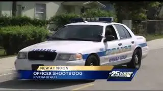 Pit bull shot after plowing through metal gate