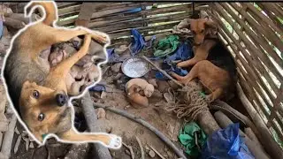 ठूलो सानो बैनीहरु आमा भईन्||Random Vlog||Vote For Aryan Tamang||Rj Sagar