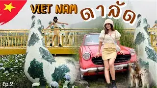 🇻🇳 ดาลัด-เวียดนาม Ep.2 เที่ยวดาลัดครั้งแรกสวยมาก พิกัดคาเฟ่ดาลัด,Dalat Night Market |Dalat Vietnam
