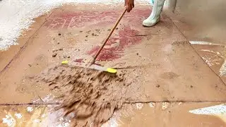 The Ultimate Rug Foam Deep Clean Satisfying Transformation