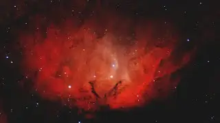 Туманность Тюльпан