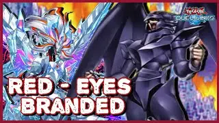 [Yu-Gi-Oh! Duel Link] Red-Eyes Branded | The inferno flames of the fallen!