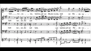 Franz Schubert - Das D&ouml;rfchen, D. 598 for Male Chorus & Guitar (2nd Version 1818)