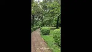 Eliot park at Jawaharlal Nehru Rd, Maidan, Kolkata, West Bengal 700021