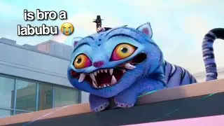 4 minutes of the bird and the tiger being the cutest duo