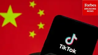 Will China Be Able To Access Americans' Data Following TikTok Sale? Business Expert Explains
