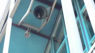 G&deg; church bell St. Felicitas RK Kerk