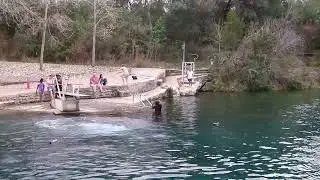 christmas in austin texas and barton springs pool with edm music